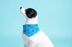 Bandana in Blue Shweshwe